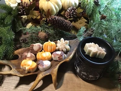 Soy Wax Melts ~ Caramel Apple ~ 7.8 oz - Image 1 of 3