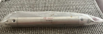 Cilindro de aire de doble acción de acero inoxidable ARO Silverair, SD14-P4B4-100, 1 1/4" x 10"  Foto 1 de 2