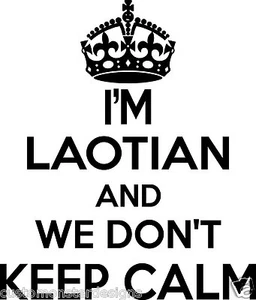 Pegatina de pared laosiana... 20 pulgadas de alto We Don't Keep Calm vinilo arte de pared - Imagen 1 de 2