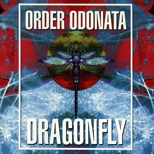 Various - Order Odonata Vol.3/the Techni - Bild 1 von 1