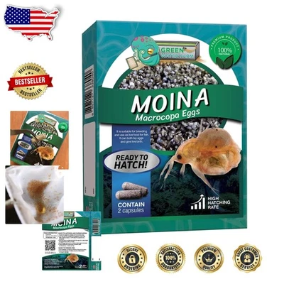 Alimento para peces vivos Moina Macrocopa para mejorar la salud y la tasa de supervivencia (paquete de 2) Foto 1 de 4