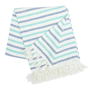 Lakeview Stripe Accent Throw Blanket - Picture 1 of 3