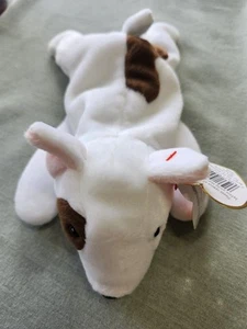 TY Beanie Babies Butch The Dog With Errors READ DESCRIPTION - Picture 1 of 18