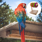 Parrot Ring Toy Parakeet Intelligence Bird Stacking Toys Ferrule