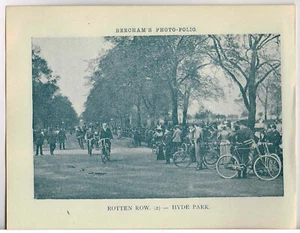 Cycling Rotten Row Hyde Park London Antique Print Picture Victorian 1900 BPF#640 - Picture 1 of 3
