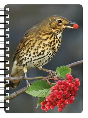 SAWLEY FINE ARTS British Wild Bird NOTEBOOKS with amazing 3D image 14 to choose from