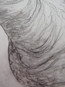 Hand Drawn Anatomical Pencil Tonal Drawing of an erect Penis CENSORED NSFW Art - Picture 1 of 20