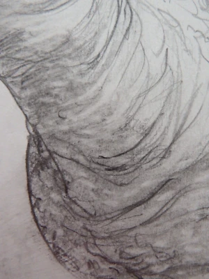 Hand Drawn Anatomical Pencil Tonal Drawing of an erect Penis CENSORED NSFW Art - Image 1 of 4