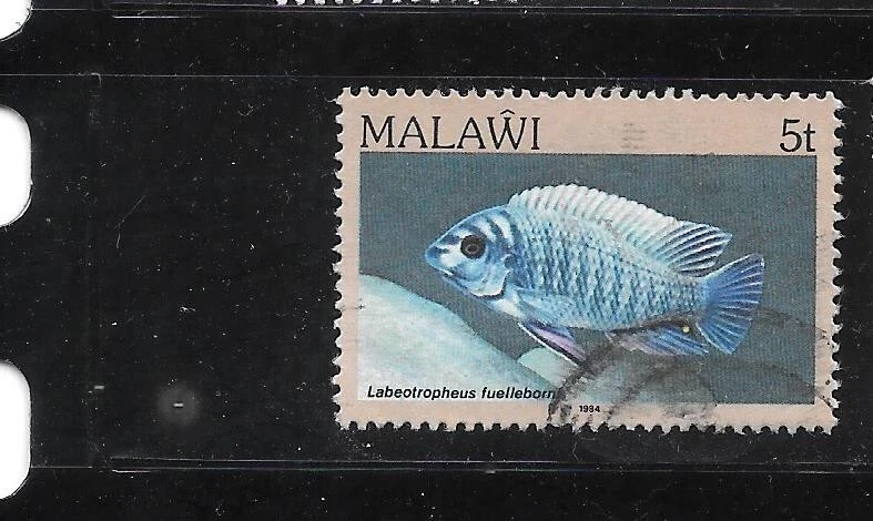 MALAWI SC#429 1984 5T PEZ GRANDE DEFINITIVO ANTIGUO VINTAGE POSTAL USADO EN MUY BUEN ESTADO SELLO Foto 1 de 1