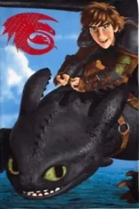 Train My Dragon Fleece Blankets Kids Official Licensed Character - Picture 1 of 1