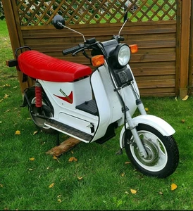 Simson Sr50 E Bj. 1993 mit originalen Papieren einer von ca 40 Stück nur 120 km - Bild 1 von 7
