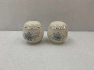 Noritake Keltcraft Ireland Salt and Pepper Shaker Set LOT Nice! - Imagen 1 de 16