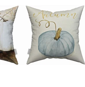 Taysta Single Pillow Cover Cinderella Blue Pumpkin 16 X 16 - Picture 1 of 3