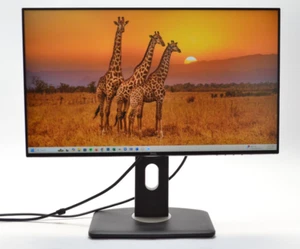 Dell U2421HE 24" LED Display 1920 x 1080 Monitor HDMI Display Port w/ Stand - Picture 1 of 10