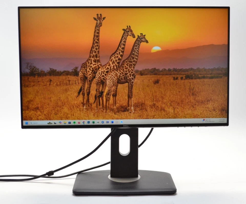 Dell U2421HE 24" LED Display  1920 x 1080 Monitor HDMI Display Port w/ Stand - Image 1 of 4