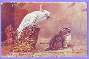 COCKATOO & KITTEN EJECTED A LESTER ARTIST SIGNED POSTCARD - Imagen 1 de 1