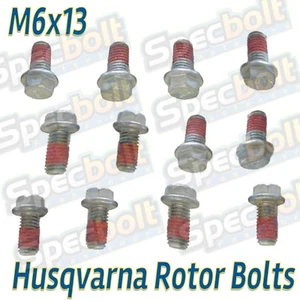 HUSQVARNA 12PC BRAKE ROTOR BOLT KIT FC250 FC450 FE250 FE350 FE450 FE501 TE300 - Picture 1 of 6