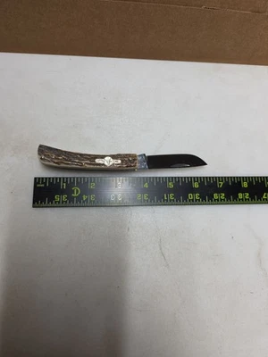 Navaja de Bolsillo Toro Alemana Ciervo Hecha a Mano Hoja Única Coleccionada Foto 1 de 4
