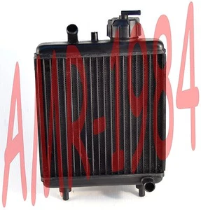 Original Aprilia Classic 50 Kühler Bis 1999 C. AP8201609 - Bild 1 von 1