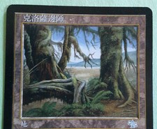 MTG Magic the Gathering 1x  Chinese ***Krosan Verge***