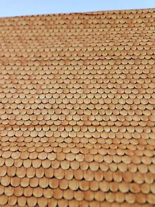 1 yd Pumpkin Patch Fabric Raise the Rooftop Orange Halloween J Wecker Frisch - Picture 1 of 4