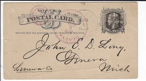 1883 Hudson MI PC to Geneva w/ fancy violet duplex receiver. UX 7 PC Lake (a2923 - Picture 1 of 4