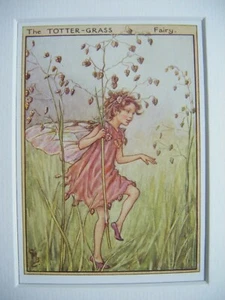 Vintage Flower Fairies Print & Mount Totter Grass Fairy Cicely Barker c1930's  - Picture 1 of 2