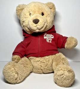 Aeropostale Brown TEDDY BEAR 🧸 Red Hoodie Plush Toy Stuffed Animal 2010 - Picture 1 of 17