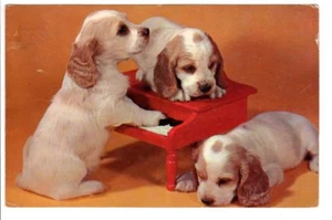 Vintage Postkarte Post 1958 Greenville SC Drei Ausleger Hunde Welpen spielen Klavier - Bild 1 von 2