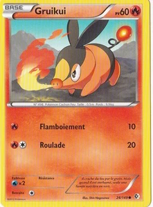 Gruikui - N&B:Frontieres Franchies - 24/149 - Französische Pokemon Karte - Bild 1 von 1