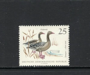 Alemania RDA 1968 GANSOS GRAYLAG SC 1001 montado sin montar o nunca montado - Imagen 1 de 1