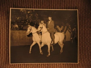 Zab & Al-Marah El Hezzez Siegerpaar Klasse Araber Pferd Original Foto - Bild 1 von 3