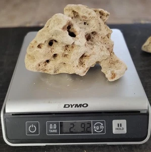 Texas Limestone Holey Rock Aquarium Reptile Fish Decorations Pet Supply 2.92 Lbs - Picture 1 of 6