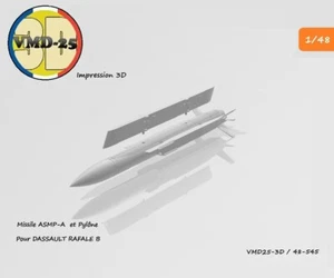 MBDA -- Missile ASMP A et pylône -- (Rafale B - Mirage 2000 N) 1/48 - Photo 1/12