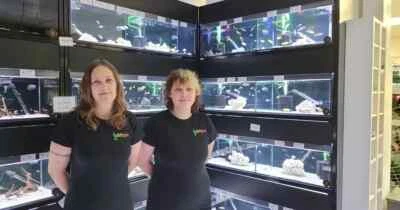 Exotic Fish Store Business Plan - Image 1 of 3