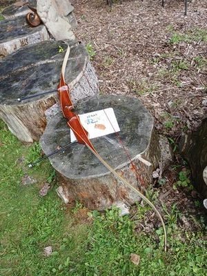 Medallista profesional Hoyt Archery recurvo 29# de colección con estabilizadores Foto 1 de 4