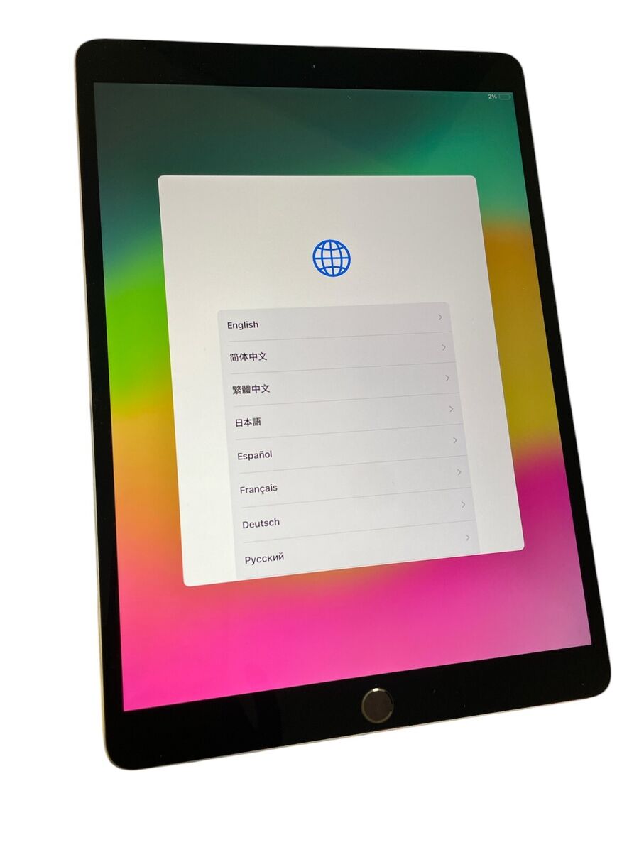 Apple iPad Pro (1st Generation) 9 in - 10.9 in Screen 64 GB Apple iPad Pro (1st Generation) 9 in - 10.9 in Screen 64 GB