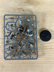 WARHAMMER 40,000 WH40K - SPACE MARINE LIBRARIAN IN TERMINATOR ARMOUR - NEW SPRUE - Picture 1 of 2