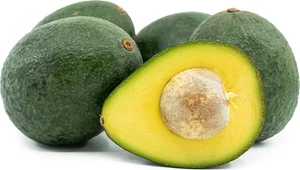 Grafted Reed Avocado (Persea americana) Live Fruit Tree (10in-2ft) - Picture 1 of 5