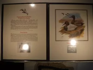 U. S. Duck Stamp The Collector's Panel Canvasback Ducks by Don Balke - Picture 1 of 5