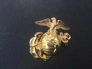 Some Kind of Military Screw on Fashion Pin, Gold Color, Navy I Think - Picture 1 of 4