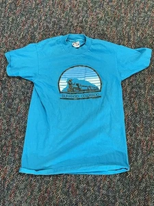 Vintage 80s Durango Colorado Railroad T Shirt size M Medium Blue Rare USA - Picture 1 of 3