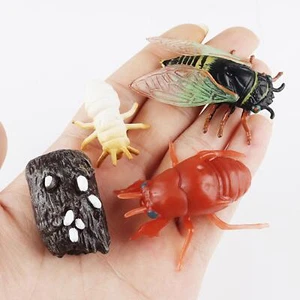 Cicada Growth Cycle Set Teaching Aids Classroom for Toddlers Kids Children - Picture 1 of 10