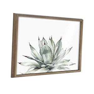  Blake Parry's Agave Framed Printed Glass Wall Art by Emily 18L" x 24W" Gold - Picture 1 of 8