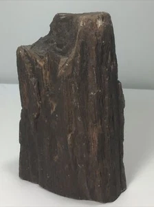 Natural Petrified Wood Display Piece. 7-1/2” Tall. 4lb 4oz. Beautiful Grain - Picture 1 of 14