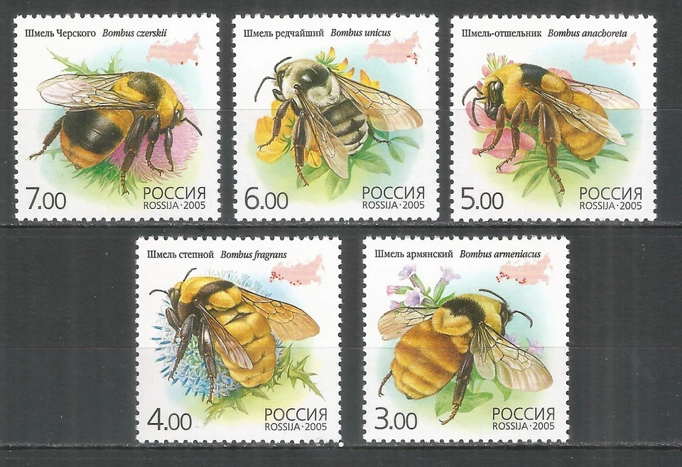 Russia 2005 stamps mint MNH - bumblebee - Image 1 of 1
