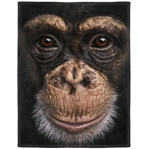 50"x60" Blanket Super Soft Warm Lightweight Fleece Throw For Couch Sofa Bed Cool - Picture 1 of 5