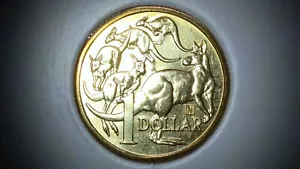 Privy 'N' - 2023 $1 ANDA Queen Elizabeth II Memorial Dated Mob of Roos UNC Coin - Picture 1 of 2