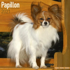 Calendrier 2021 - PAPILLON - Imagen 1 de 2