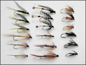 Wet Trout Flies, 18 Pack, 6 Named Varieties, Mixed Sizes, For Fly Fishing SF3S - Picture 1 of 7